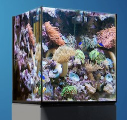 Aqua Medic Aquarium Aqua Medic Aquarium