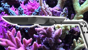 Aqua Medic LED Aqua Medic LED