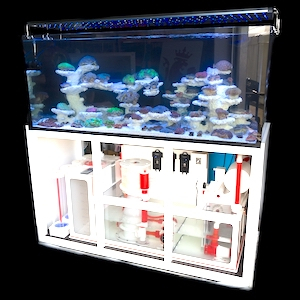 AquaPerfekt Reeftank AquaPerfekt Reeftank