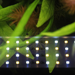 Aquarien LED Beleuchtung Aquarien LED Beleuchtung