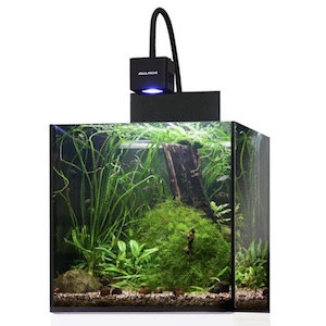 Aquarienbeleuchtung Aquarienbeleuchtung
