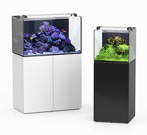 Meerwasser Aquarium Unterschrank Meerwasser Aquarium Unterschrank