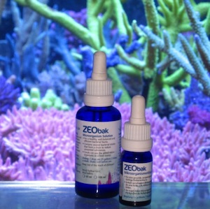 Aquarium Bakterien Aquarium Bakterien