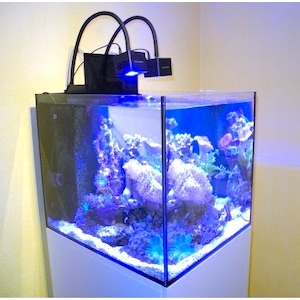 Aqua Medic Cubicus Aqua Medic Cubicus