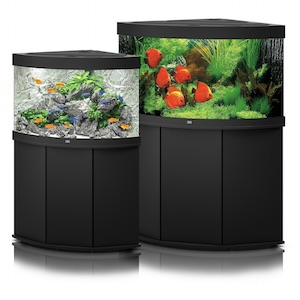 Eckaquarium Eckaquarium