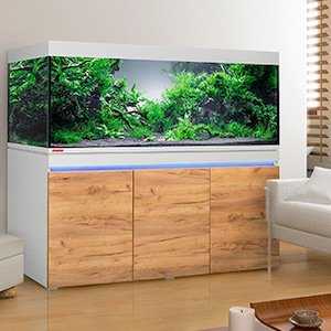 Große Aquarien Große Aquarien