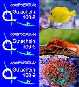 Geschenkideen Geschenkideen
