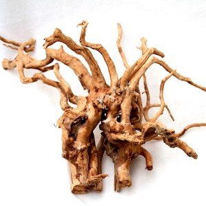 Aquarium Holz Aquarium Holz