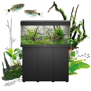 Juwel Aquarium Juwel Aquarium