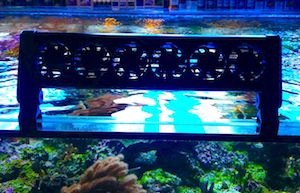 Aquarium Lüfter & Kühler Aquarium Lüfter & Kühler