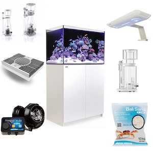 Meerwasseraquarium Komplettset Meerwasseraquarium Komplettset