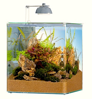 Nano Aquarium Nano Aquarium