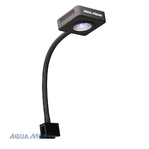 Nano Aquarium Beleuchtung Nano Aquarium Beleuchtung