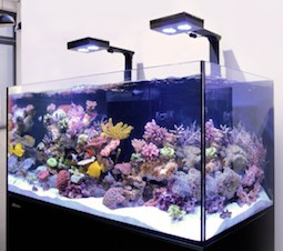 Red Sea Reefer G2+ DeLuxe Red Sea Reefer G2+ DeLuxe