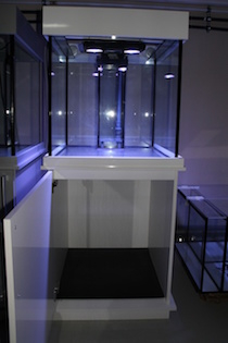Aquariumbau Aquariumbau