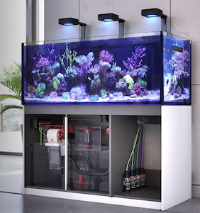 Red Sea Reefer MAX G2+ Red Sea Reefer MAX G2+