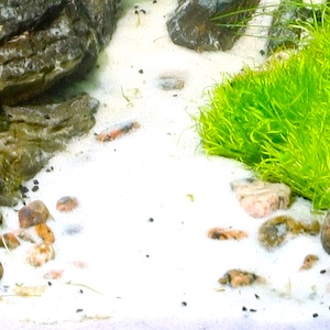 Aquarium Sand Aquarium Sand