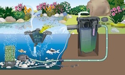 Teichfilter Teichfilter