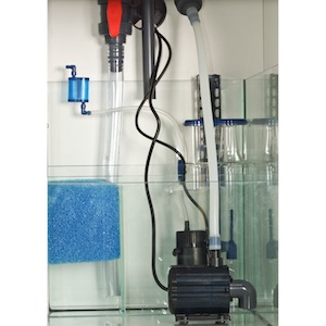 Pumpen Pumpen