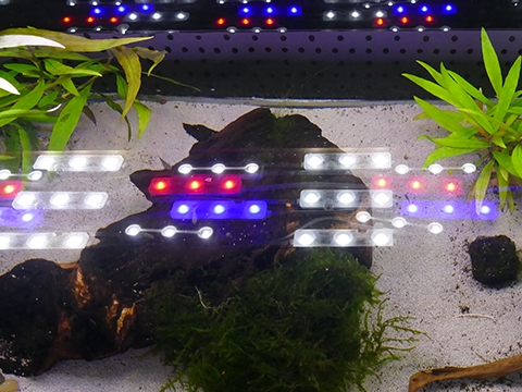 LED Bausatz Aquarium LED Bausatz Aquarium