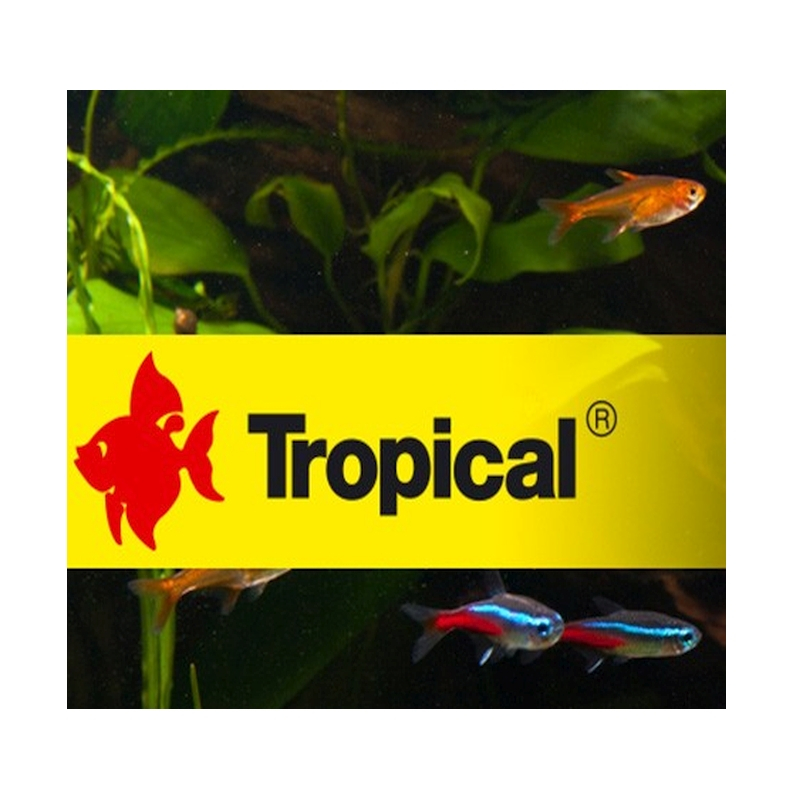 Tropical Aquarium Fischfutter Tropical Aquarium Fischfutter
