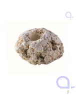 Ablegersteine groß - 100 Stück Arka Riffkeramik