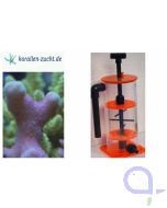 Korallenzucht Easy Lift Magnetic S ZEOvit-filter