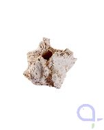 Ablegersteine natur groß - 100 Stück Arka Riffkeramik
