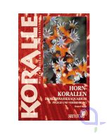 KORALLE Hornkorallen im Meerwasser-Aquarium