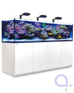 Red Sea Reefer-S G2+ 1000 Deluxe weiß