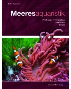 Meeresaquaristik: Probleme vermeiden, erkennen, lösen