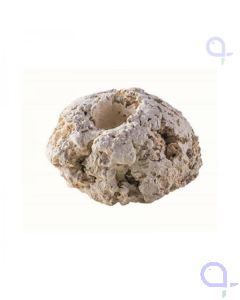 Ablegersteine groß - 100 Stück Arka Riffkeramik