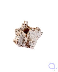 Ablegersteine natur groß - 100 Stück Arka Riffkeramik