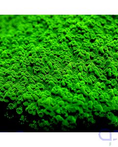 Montipora - GreenGreen #GN48
