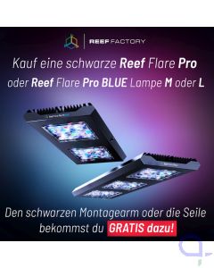 Reef Factory Reef Flare Pro L schwarz