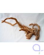 Rote Moorwurzel Traumwurzel XL