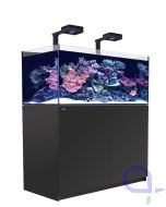 Red Sea Reefer 425 G3+ Deluxe schwarz - 2 x ReefLed 170