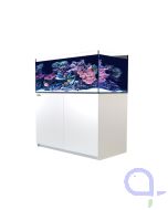 Red Sea Reefer 425 G3 weiß