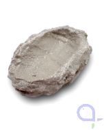 Muschelhalter Riffkeramik 7-8cm