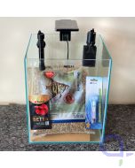 Aquarium - Set - Kampffisch - Betta