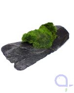 Bewachsener Slate Rock - wysiwyg - Ansicht links