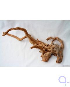 Rote Moorwurzel Traumwurzel XL