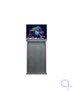 D-D Reef-Pro 600 Carbon Oak