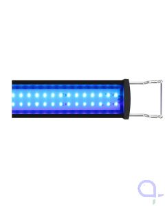 GHL Mitras Slimline 50 Actinic Blue (PL-1709)