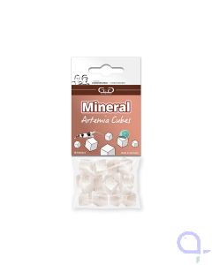 Garnelenhaus / Glasgarten Artemia Cubes 16 Stück