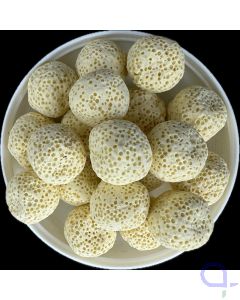 Back To Nature Bactoballs 1 Liter