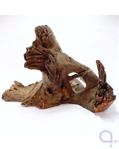 Corbo Root 6 - Deko Wurzel - 1