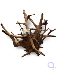 Corbo Root 1 - Hartholz Wurzel - Frontansicht