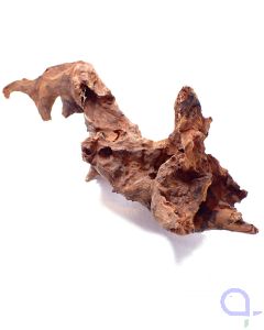 Flußwurzel - wysiwyg - Ansicht