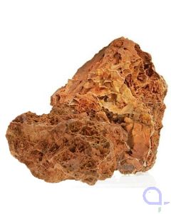 Aquarium Münster Versteinertes Laub M (2.5 kg)